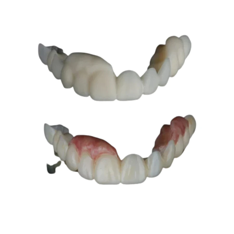 Resina Prizma BioProv 2