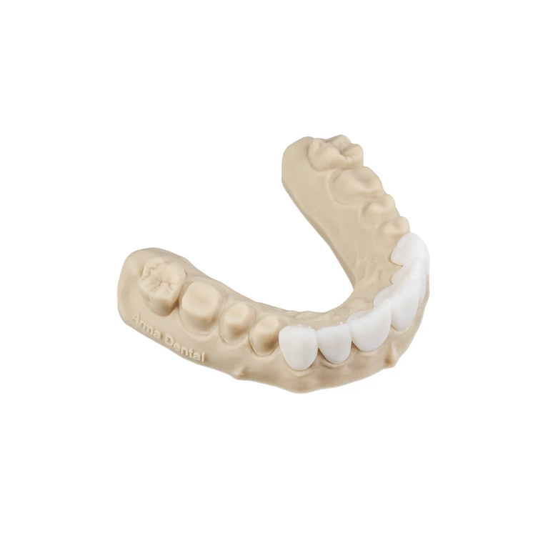 Resina Wissen Temp 3