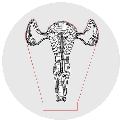 Lámpara 3D Led Útero Anatomía Cuerpo Humano