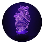 Lámpara 3D Led Corazón Anatomía Cuerpo Humano