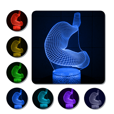 Lámpara 3D Led Estómago Anatomía Cuerpo Humano