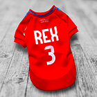 Polera Mascota Selección Chile 2024 2