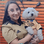 Polera Mascota Colo Colo Dorada 5