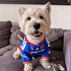 Polera Mascota Universidad de Chile 2023 Local 3