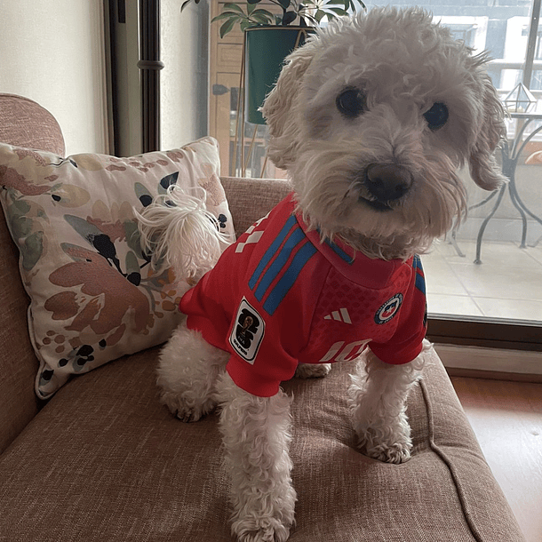 Polera Mascota Selección Chilena de Fútbol 2024 3