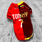 Polera Mascota Selección de Fútbol Chile - Venezuela 2024 2