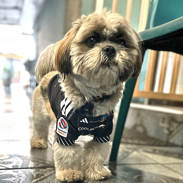 Polera Mascota Colo Colo Negra 2024 3