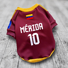 Polera Mascota Selección Venezuela 2024 2