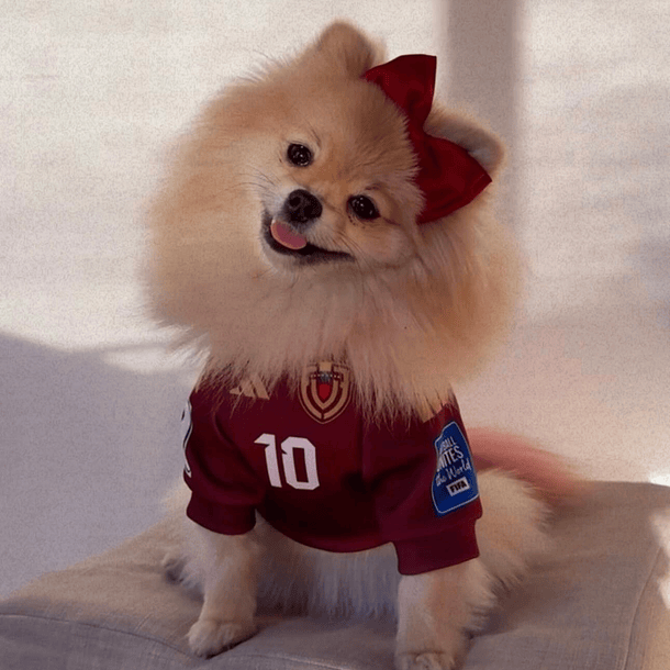 Polera Mascota Selección Venezuela 2024 4
