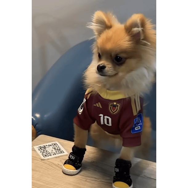 Polera Mascota Selección Venezuela 2024 5