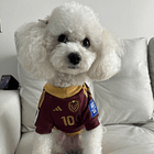 Polera Mascota Selección Venezuela 2024 3