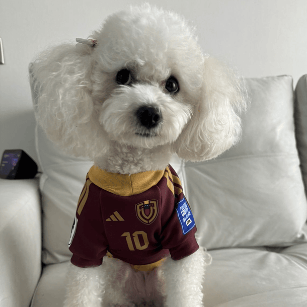 Polera Mascota Selección Venezuela 2024 3