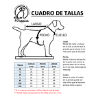 Polera Mascota Colo Colo 2026 Visita 3