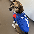 Polera Mascota Universidad de Chile 2026 Local 4
