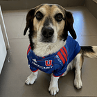 Polera Mascota Universidad de Chile 2026 Local 3