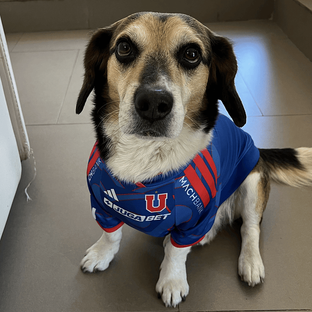 Polera Mascota Universidad de Chile 2026 Local 3