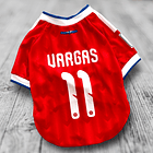 Polera Mascota Selección Chile 2026 2