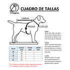 Scrunchiedana Gnomo de la Suerte 3