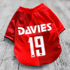 Polera Mascota Selección Canada 2026 2