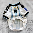 Polera Mascota Selección Argentina 2026 1