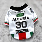 Polera Mascota Club Palestino 2025 Local 2