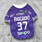 Polera Mascota Deportes Concepción 2026 Local 2