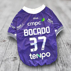 Polera Mascota Deportes Concepción 2026 Local