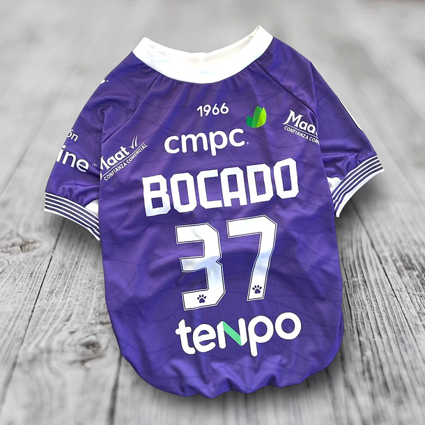 Polera Mascota Deportes Concepción 2026 Local 2