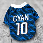 Polera Mascota Selección Francia 2026 2