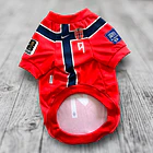 Polera Mascota Selección Noruega 2026 1