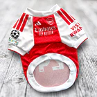 Polera Mascota Arsenal FC 25/26 1