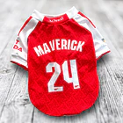 Polera Mascota Arsenal FC 25/26 2