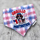Scrunchiedana Orgullo Pawtriótico 1