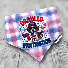 Scrunchiedana Orgullo Pawtriótico