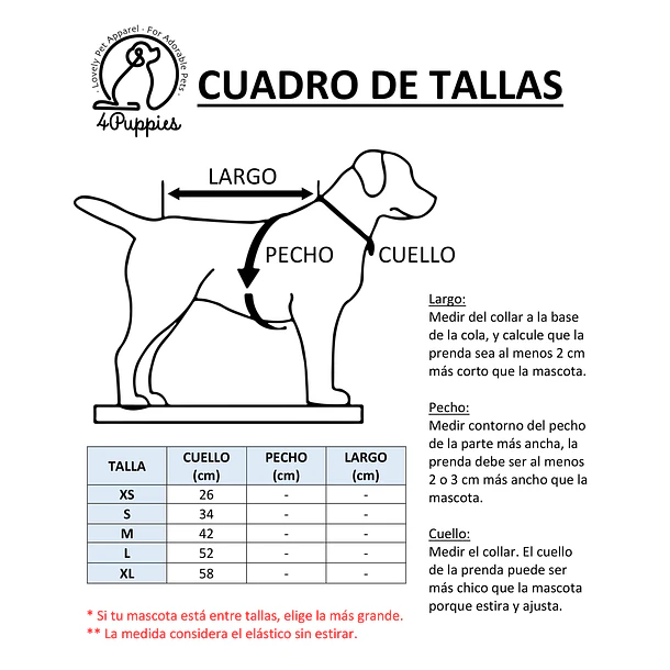Scrunchiedana Traje Huaso 6