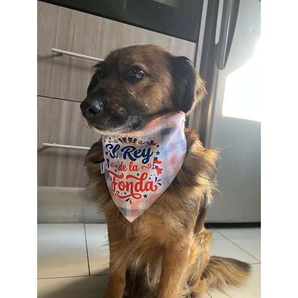 Scrunchiedana Traje Huaso 5