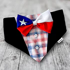 Scrunchiedana Traje Huaso 1
