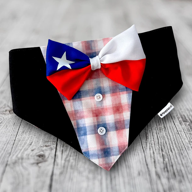 Scrunchiedana Traje Huaso 1