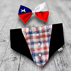 Scrunchiedana Traje Huaso 3