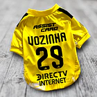 Polera Mascota Colo Colo 2026 Arquero 2