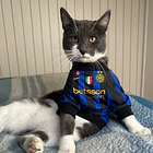 Polera Mascota Inter Milan FC 2026/27  3
