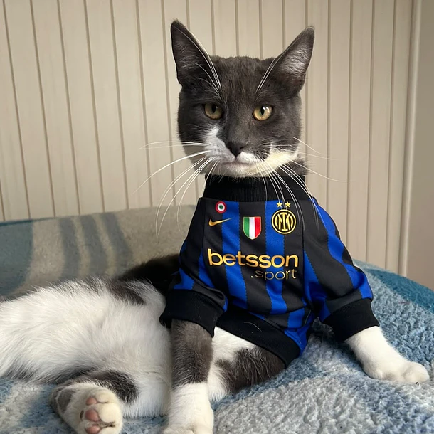 Polera Mascota Inter Milan FC 2026/27  3