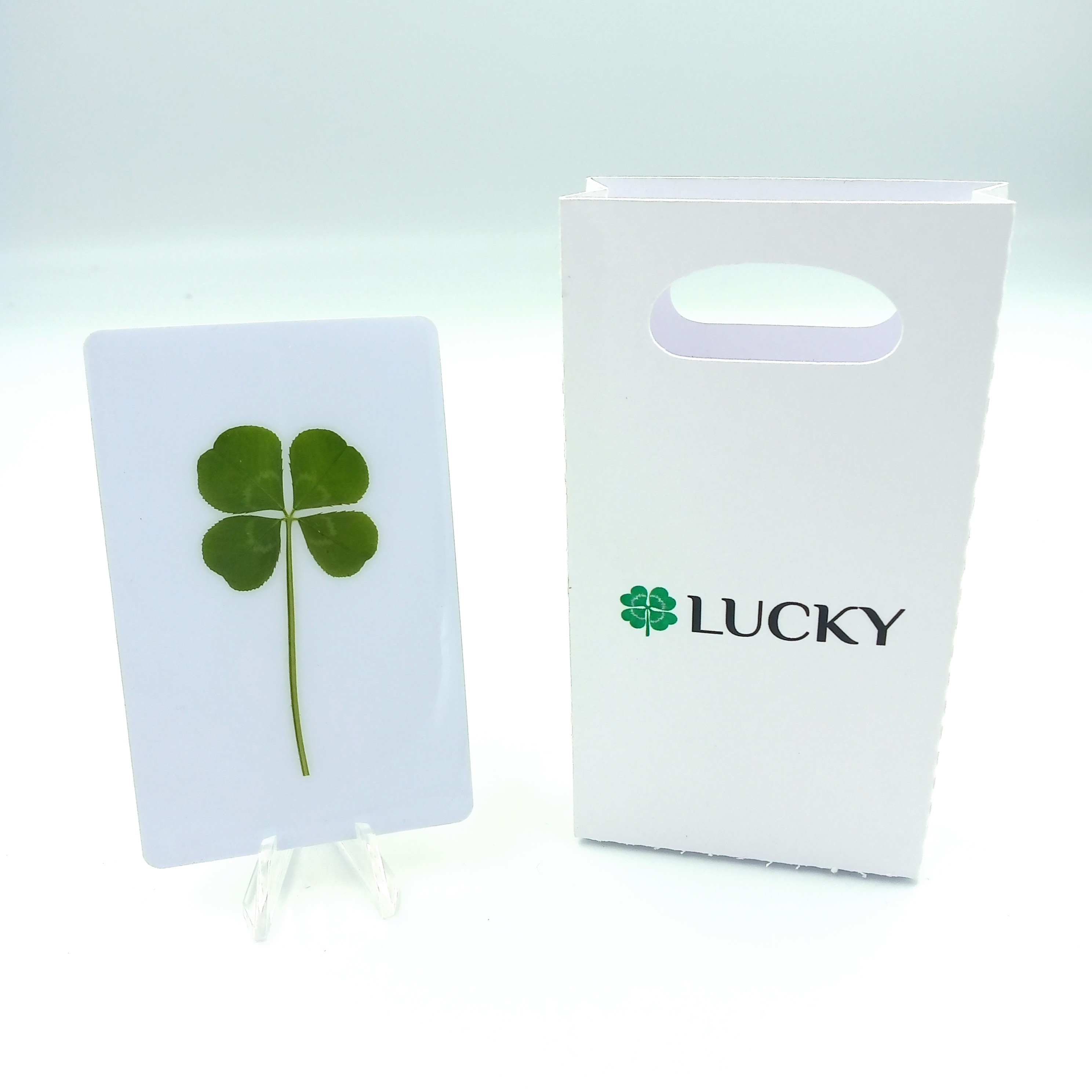 Lucky Card