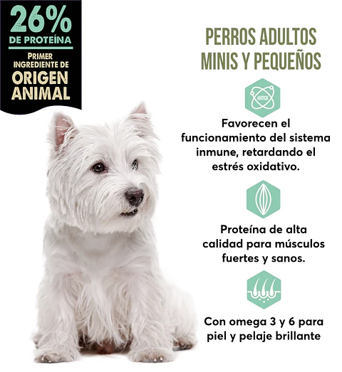 Top One Adulto Razas Pequeñas 9 Kg