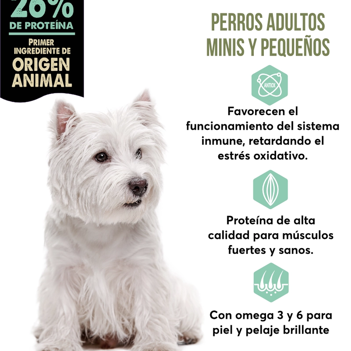 Top One Adulto Razas Pequeñas 9 Kg 2