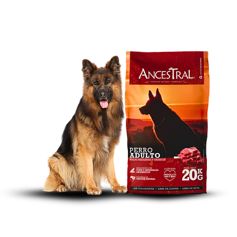 Ancestral Adulto Raza Grande y Mediana 20 Kg