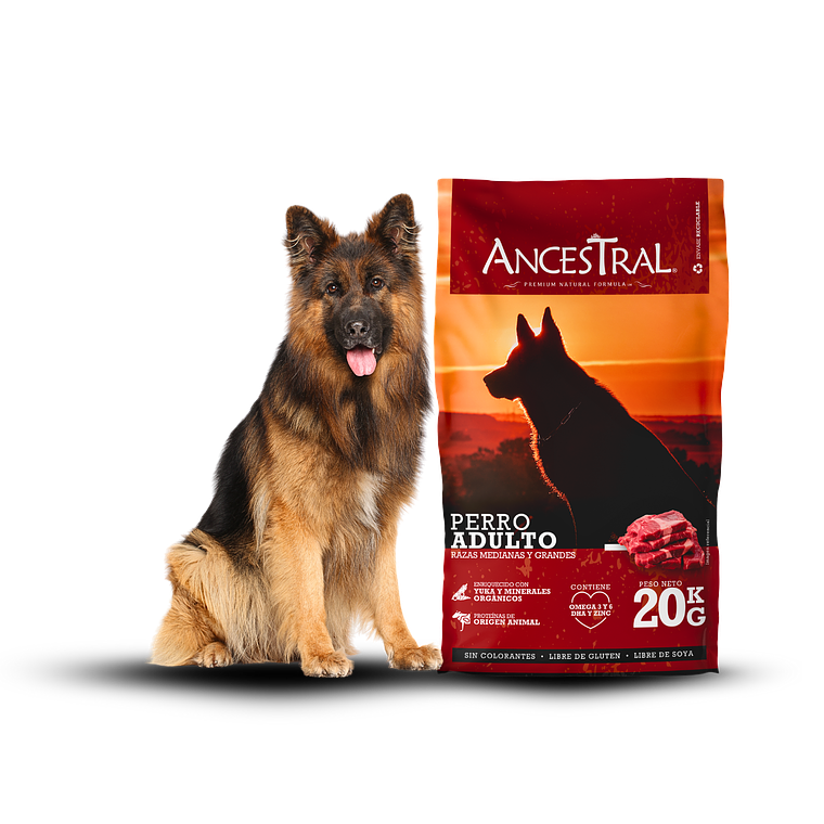 Ancestral Adulto Raza Grande y Mediana 20 Kg 1