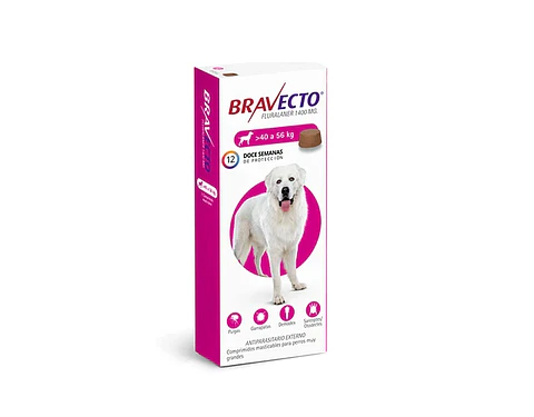 Bravecto Perros 40 a 60 kg
