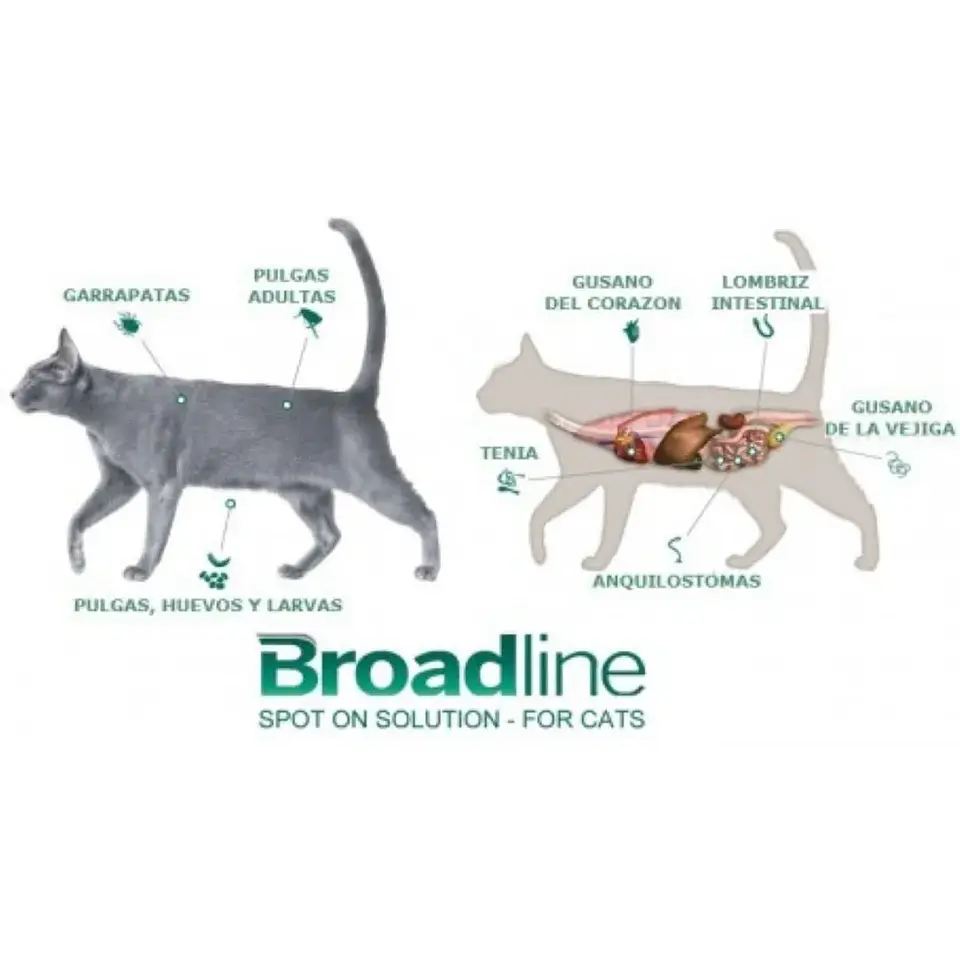 Broadline Pipeta Gatos 0,6 a 2,5 kg | Antiparasitario Interno y Externo 2