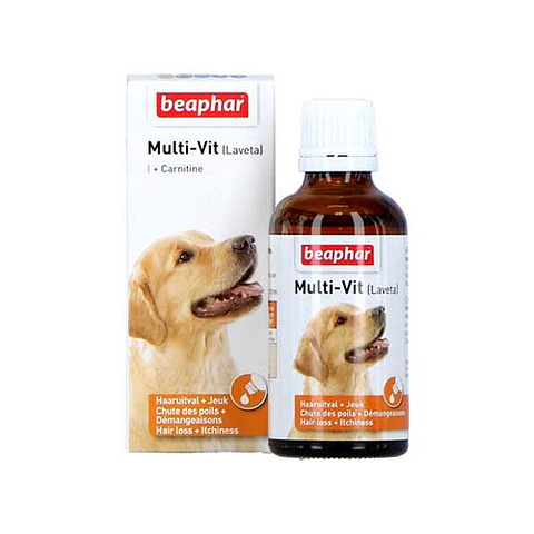 Laveta + Carnitine 50ml